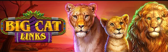 bigcatlinks.jpg bigcatlinks.jpg