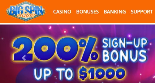 bigspinwelcomenewsletter.jpg