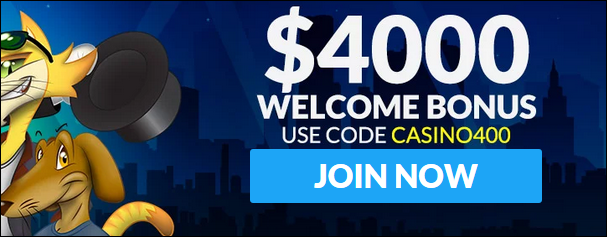 coolcatwelcome.PNG