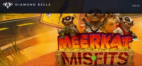 diamondreelsMeerkatmisfits.jpg