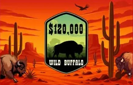 everygamewildbuffalopromo.jpg everygamewildbuffalopromo.jpg