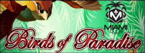 miamiclubbirdsofparadise2.PNG