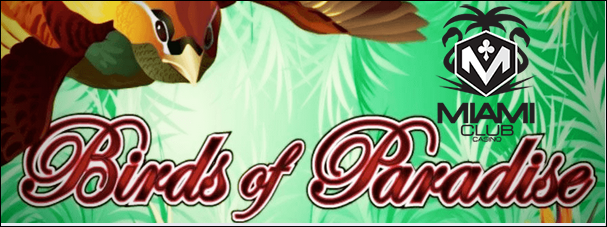miamiclubbirdsofparadise50freespins.png