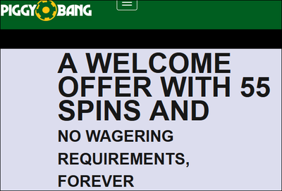 piggybang55welcome.PNG
