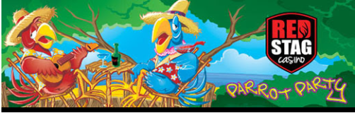 redstagparrotparty.png redstagparrotparty.png