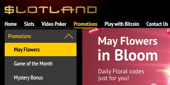 slotlandmayflowers.jpg