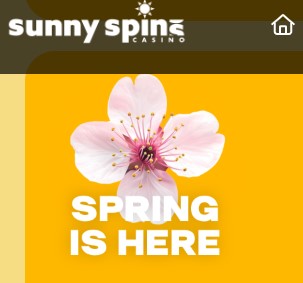 sunnyspinshellospring.jpg