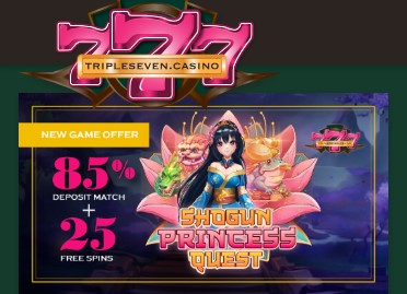 triplesevenshogunprincessquest.jpg