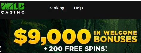 wildcasinonewsletter.jpg wildcasinonewsletter.jpg