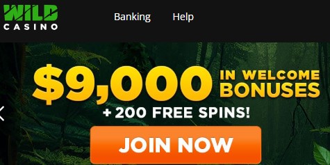 wildcasinowelcome.jpg wildcasinowelcome.jpg