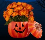 Jack O Lantern with Flowers.jpg