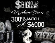 bigdollar300welcome.jpg