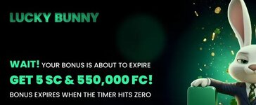 luckybunny.jpg