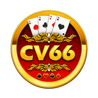 cv66net