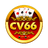 cv66net